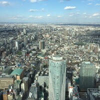 サンシャイン クルーズ・クルーズ - 