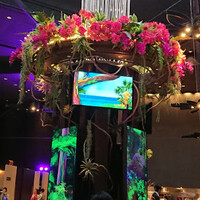 リュクス ダイニング ハプナ - 