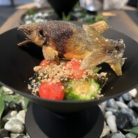 日本料理 TOBIUME - 