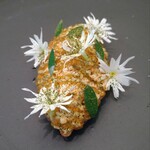 レヴォ - 〜黒文字〜黒文字の木の樹液や実を使ったカタラーナ