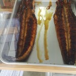 なみせうなぎや - 居なくなった···