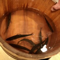 馬車道 大かわ - 