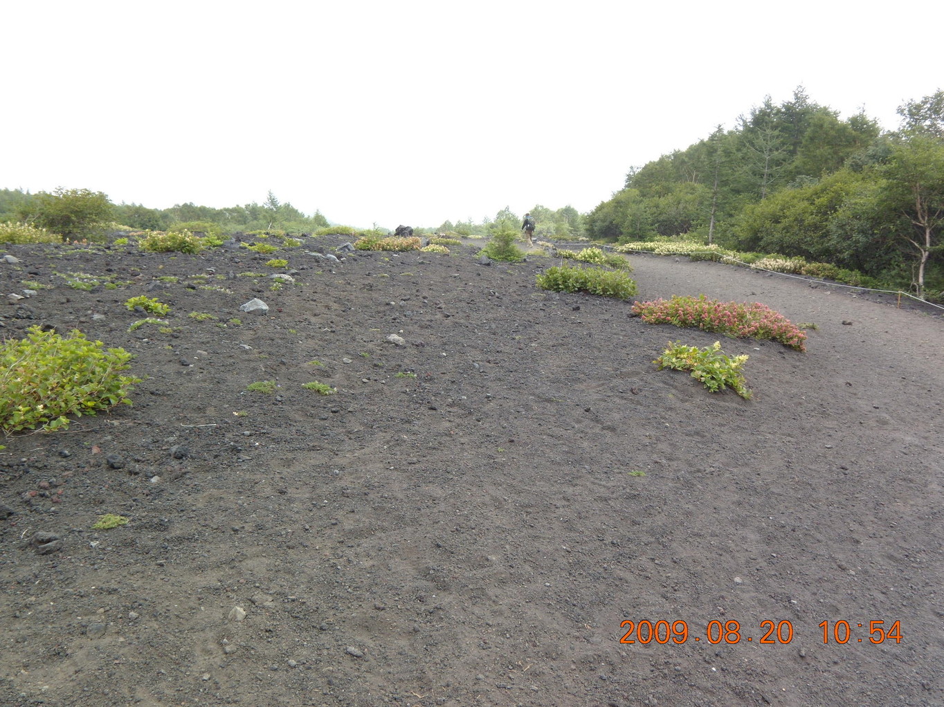 東富士山荘 name=