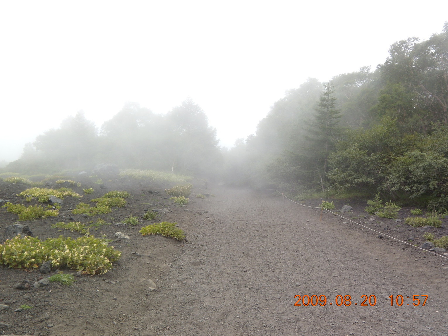 東富士山荘 name=