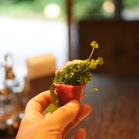 洋食 つばき - 