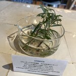 PARKER COFFEE STAND - テーブルの上♡