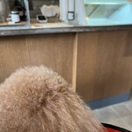 PARKER COFFEE STAND - 後ろ姿シリーズ