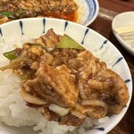 Chuugokusai Oiru - 四川麻婆豆腐ランチ