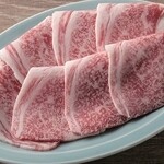 Honkaku Yakiniku Kankoku Kateiryouri Kui Shimbou - 