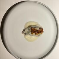 レスピラシオン - 