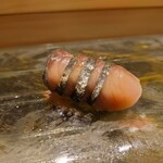 京極寿司 - ◯しめ鯖
      脂乗りはさほど無くて濃厚な鯖の味わい❕
      で酢締めのサッパリ感ある
      美味しくて面白い味わい。