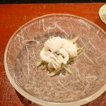 京極寿司 - ◯鱧の落とし（三河）
      ハモの出だしで脂はあまり乗っていない。
      （秋には脂がタップリ出る）
      骨切り湯引きしたハモに梅肉ソースを合わせてる。