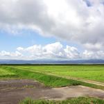 タロカフェ - 窓からの風景(4)