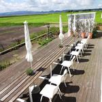 タロカフェ - 外のテラス席