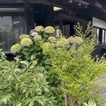 ヨコクラうどん - 