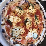 食堂カフェpotto - 定番マルゲリータ。