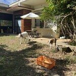 ツンフグ牧場 - 