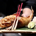 Sumiyaki Robata Kitano Maruko - 原始焼き キンキ