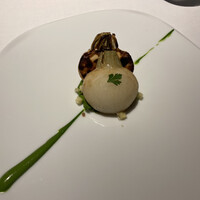 レフェルヴェソンス - 