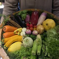 レフェルヴェソンス - 