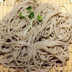 スタンド JAPA SOBA HANAKO - 20230712ざる蕎麦