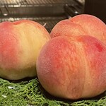 スガラボヴィー - 