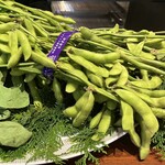 スガラボヴィー - 