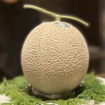 スガラボヴィー - 