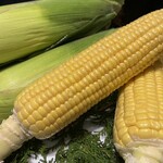 スガラボヴィー - 