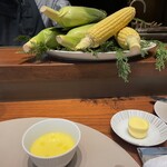 スガラボヴィー - 