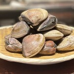 スガラボヴィー - 