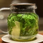 スガラボヴィー - 