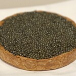 スガラボヴィー - 