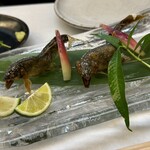 おおさか料理  浅井 - 鮎