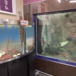 漁師海鮮　宗弘 - 料理写真: