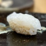 鮨 美幸 - アオリイカ