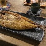 Robata Kajika - 