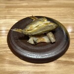 旬菜旬魚 たじま - 