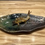 旬菜旬魚 たじま - 