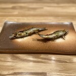 旬菜旬魚 たじま - 