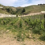 Maison M. Chapoutier - 