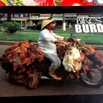 チャオエムカフェ - 本