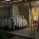 兄弟寿し - 凄い数の胡蝶蘭が迎えます