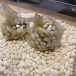 サンプリシテ - 