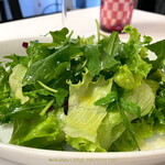Gastronomia Iosci - 葉物野菜サラダ