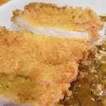 Tonkatsu Akasaka Mizuno - ロースカツカレー