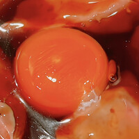 虎ノ門 焼鳥國よし - 