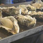 oyster market カキイロハ - 