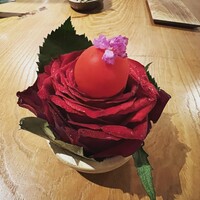 ENEKO Tokyo - 