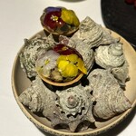 ラ・ヴァガボンド - 姫サザエのタルト